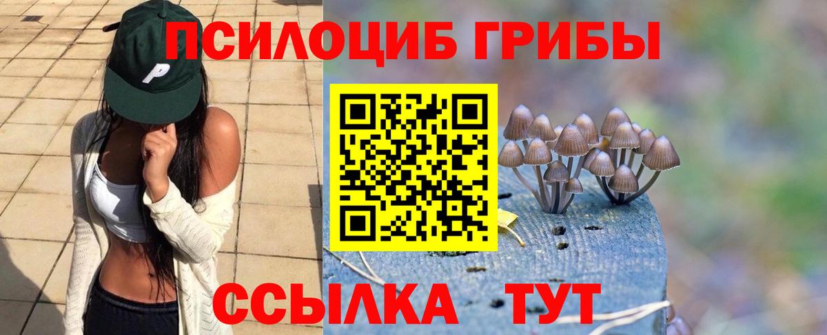 Галлюциногенные грибы Psilocybe Канаш