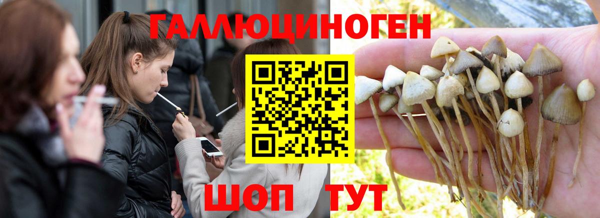 Галлюциногенные грибы ЛСД  Вход с VPN  Канаш  Псилоцибиновые грибы прущие грибы 